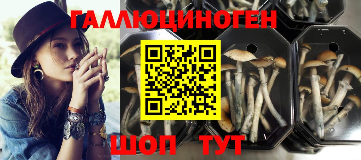Псилоцибиновые грибы ЛСД Полысаево
