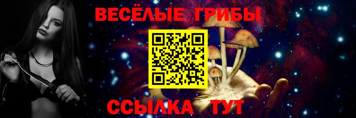 Полысаево  Псилоцибиновые грибы Cubensis  Вход с VPN 